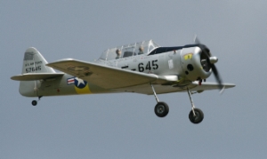 T6, 200 cm T6, 200 cm